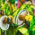 People who play percussion at the Brazilian Carnival, the image is mostly yellow and green BO SAMBA SP - Brazilian Samba