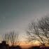 the sky at sunset, with trees and houses in the foreground DAmos AV cl 70x70 - Me Without You