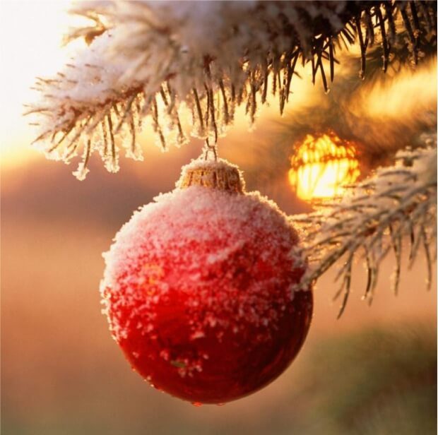 Christmas tree decoration on a snowy background BlueOrange Christmas - Christmas Quiet Logo