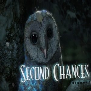a large plan of a night bird Second Chances IM - Second Chances