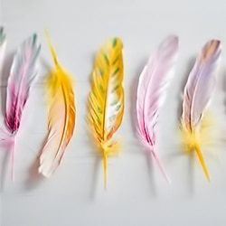 orange, yellow and red feathers