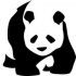 an image of a panda, in black and white