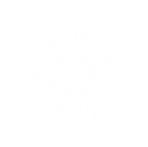 snowflake in png