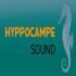 a green square with the inscription Hyppocampe sound Hyppo IM n 70x70 - Folk Return