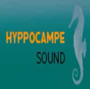 a green square with the inscription Hyppocampe sound Hyppo IM n - Enjoy the Noise